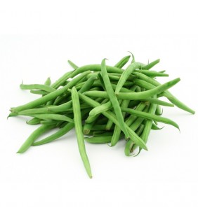 HARICOTS VERTS FIN - 1 Kg